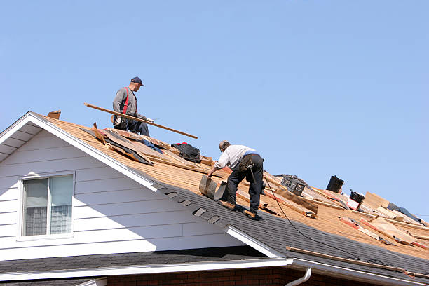 Best Skylight Installation and Repair  in Enterprise, NV